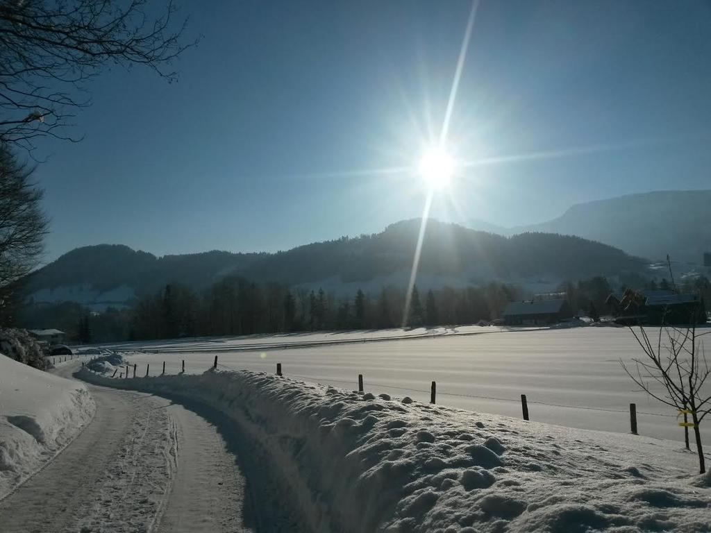 Familienhotel Adler リンゲナウ エクステリア 写真